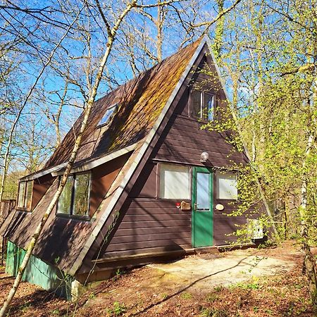 Chalet 139 Hakuna Matata Durbuy Exterior foto